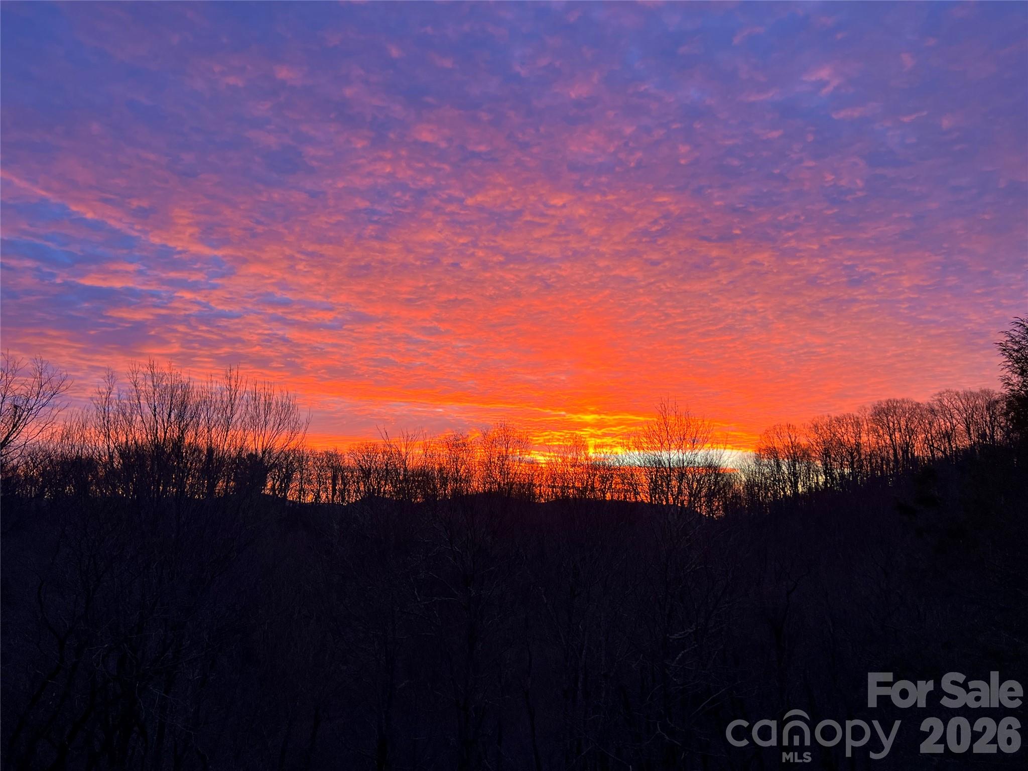 2778 Mule Stomp Road