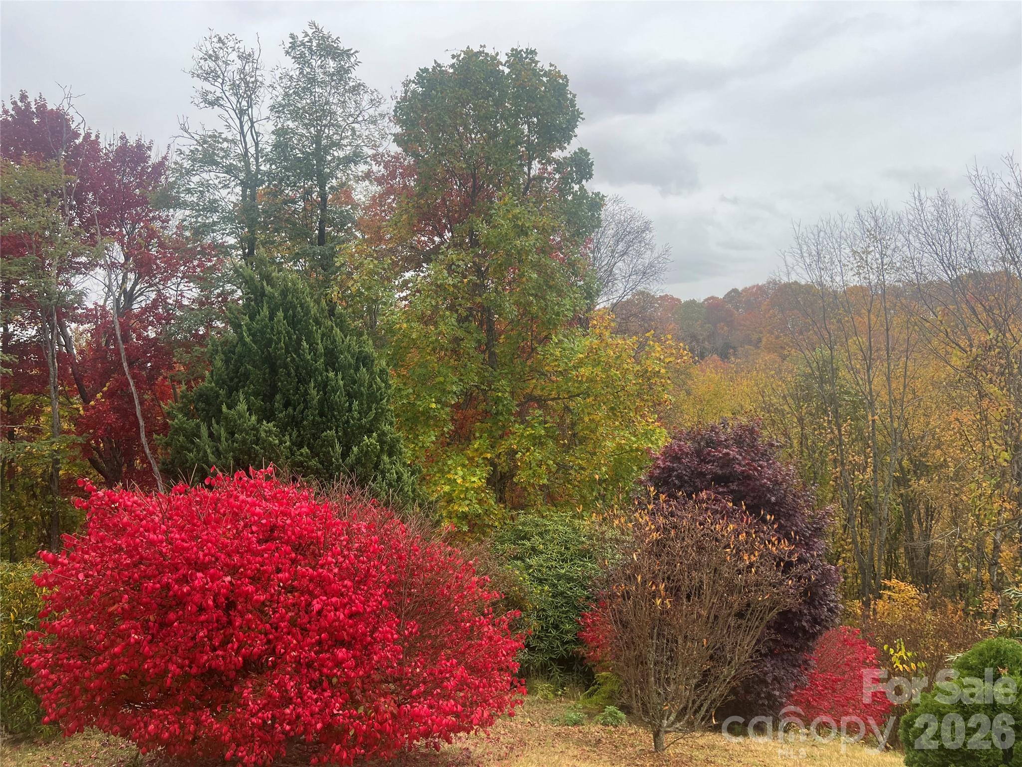 2778 Mule Stomp Road