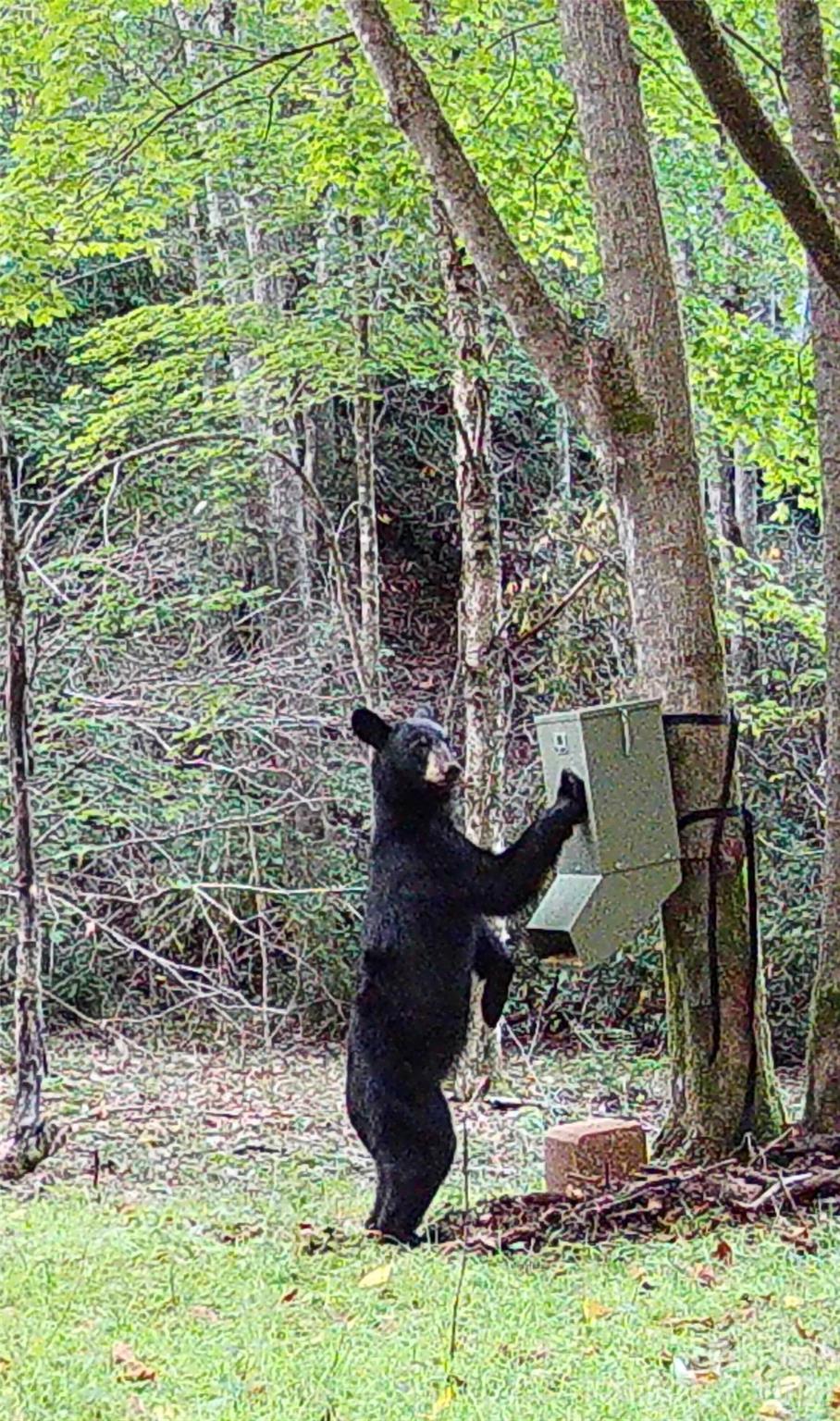 2778 Mule Stomp Road