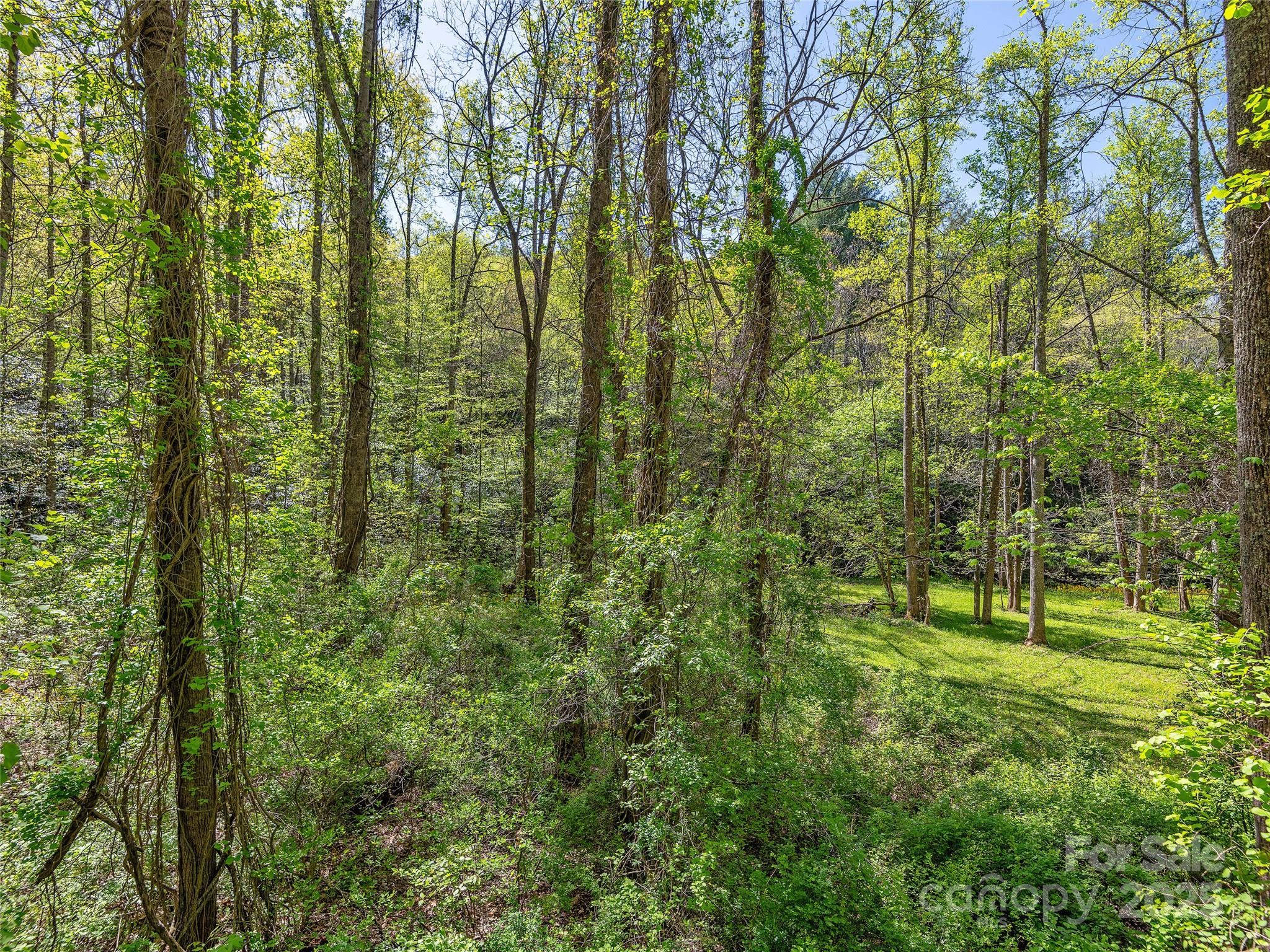 99999 Bob Barnwell Road