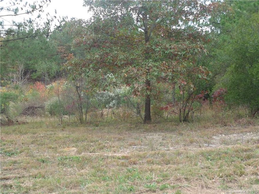 Come and Build your new home on this 5 + acres. Country living at its best. Great Area. Buford Schools. Call today for information on building your new home.