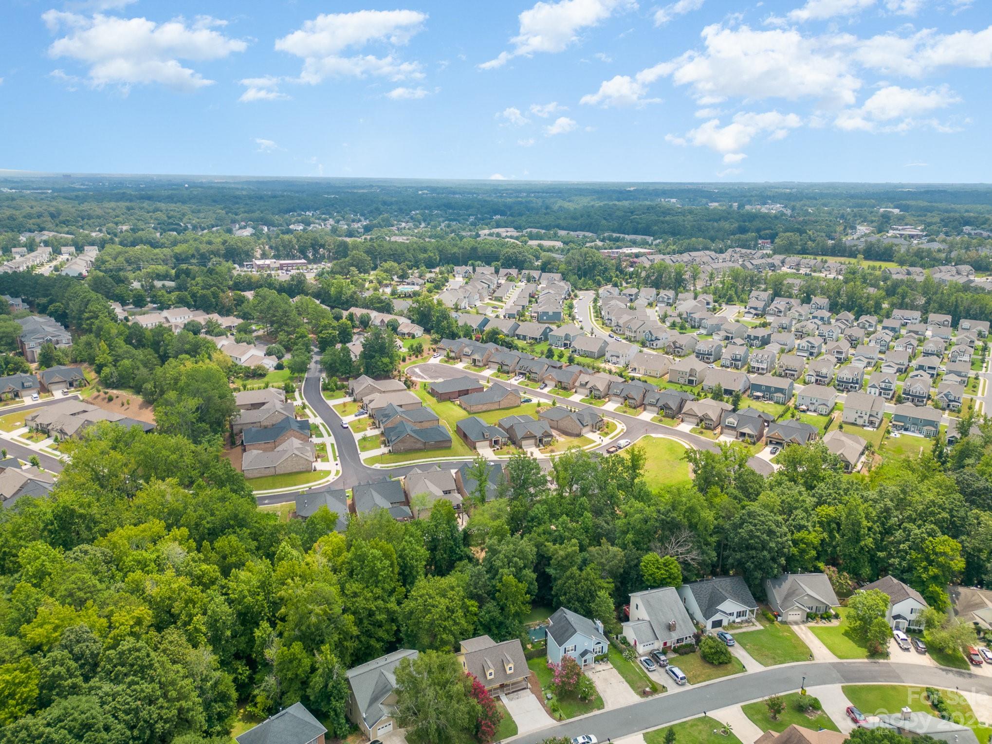 Palmetto Plantation - Residential