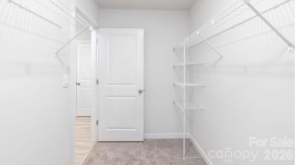 Reedy Creek Preserve - Residential