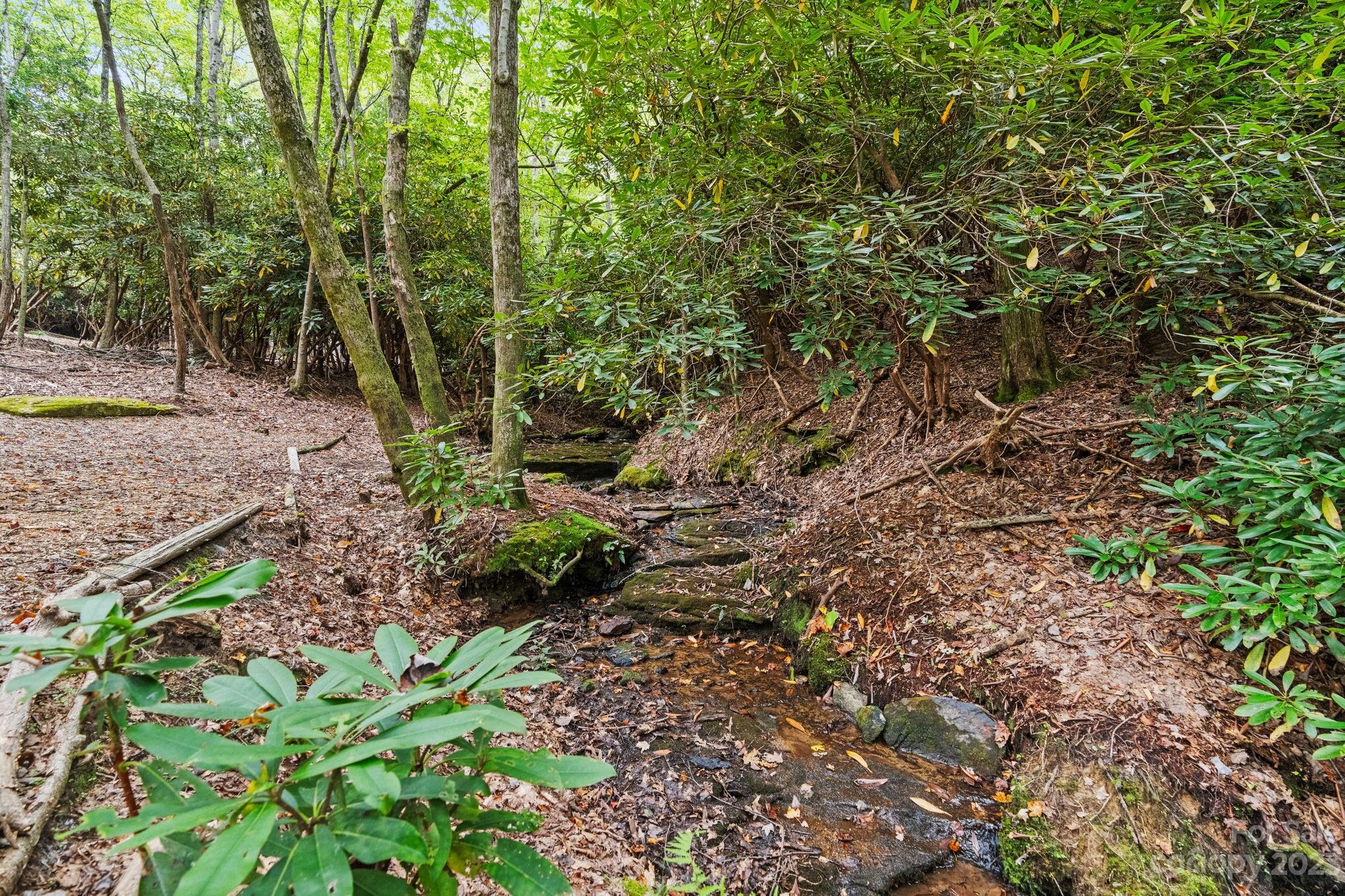 Pisgah Forest Farms - Residential