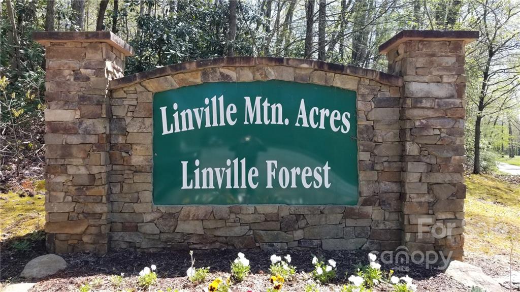 0 Linville Drive 77