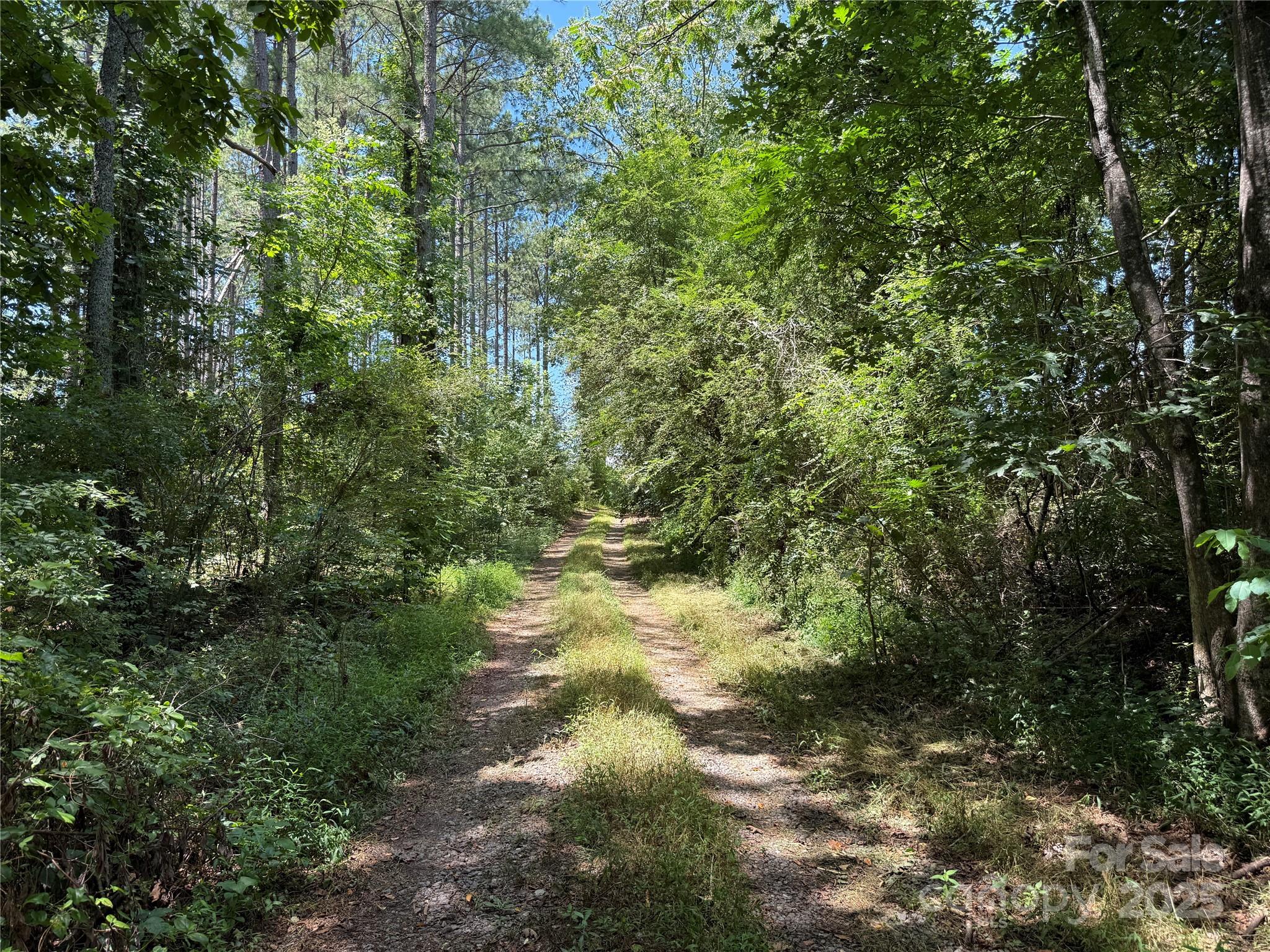 0 Collins Road 2
