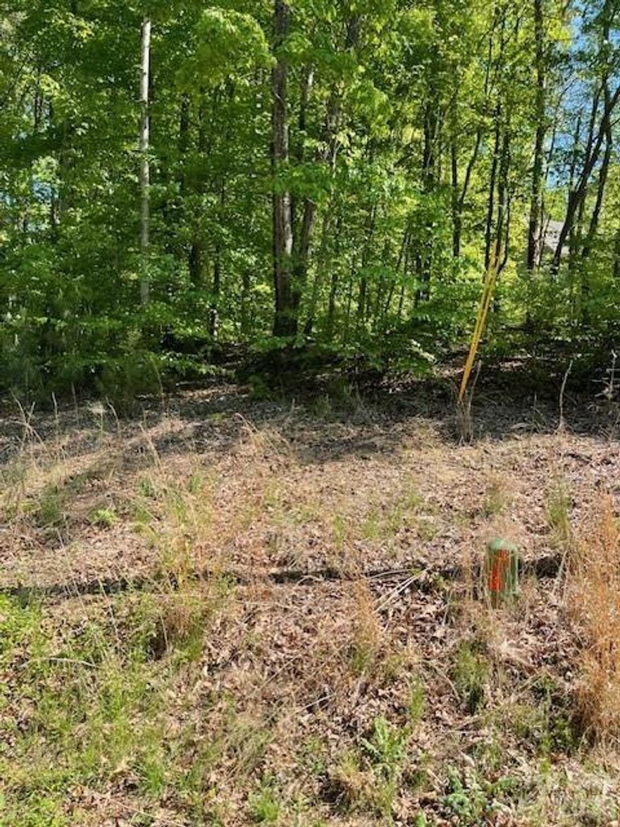 Located across the street from beautiful Lake Norman, this beautifully wooded, almost 1 acre lot, would make a beautiful homesite!  The lot backs up to the walking trails for the neighborhood and acreage that the HOA owns. There is an architectural review committee that has a minimum square footage requirement of 2200 sf for a two story home.  Close to lake Norman with seasonal views of the lake right across the street.  There is a public boat launch right down the road located on highway 150. Go out and take a look at this amazing homesite!  Drone footage coming soon. Check out Greenbay Forest information at www.greenbayforest.com