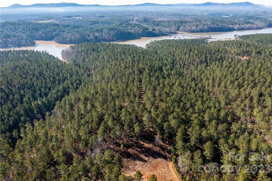 FRESHLY SURVEYED AND TWO POSSIBLE BUILDING SITES CLEARED! Looking for your very own private retreat? Come check out this gorgeous 10+ acre tract where you can build your dream home. This property is nicely tucked back in the woods away from the main road. Approximately 5 miles from the interstate and just a few minutes from Castle Bridge lake access. This property has an existing gravel road for easy access. No city taxes and tons of privacy! This lot has recently been thinned out for easier viewing! It is hard to convey in pictures so come check out the beauty this land has to offer! With a few more trees cleared out there could definitely be a mountain view!