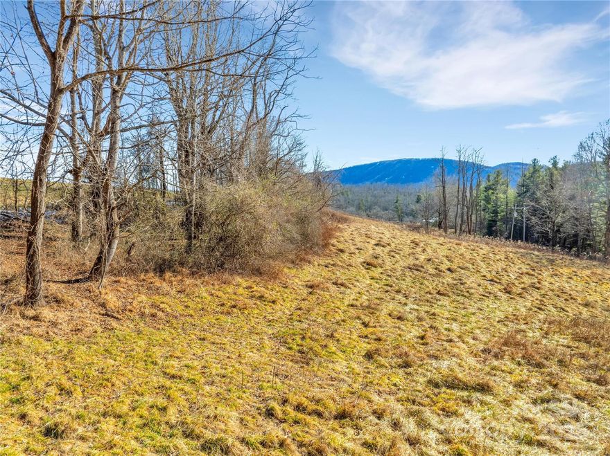 Beautiful gently rolling lot in Hendersonville near Jeter Mountain Farm. This 3.4+ acre property offers an easy build site with minimal clearing and beautiful mountain views. This lot stretches across two sides of Ebenezer trail. Gentle restrictions allow for livestock and barn. Underground electric installed. Don't miss your opportunity to build your dream home in Western North Carolina near downtown Hendersonville, Brevard, and Dupont State Forest with year-round views.
