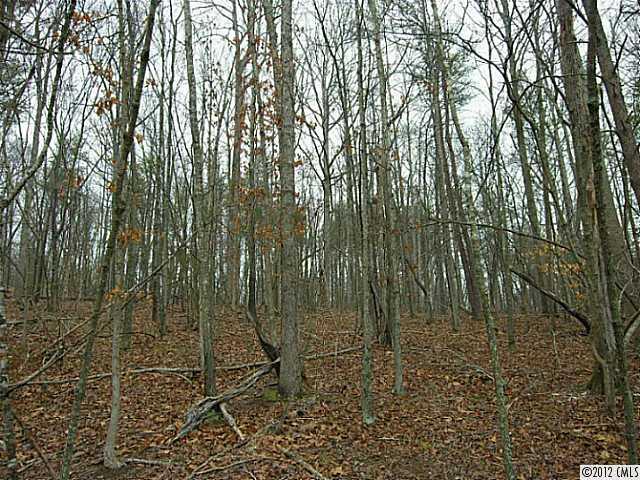 Saddlebrook East - Land