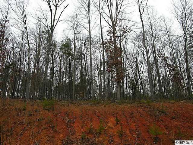 Saddlebrook East - Land