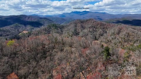 Photo of 0 NC Highway 90 E, Lenoir, NC 28645 (MLS # 4120587)