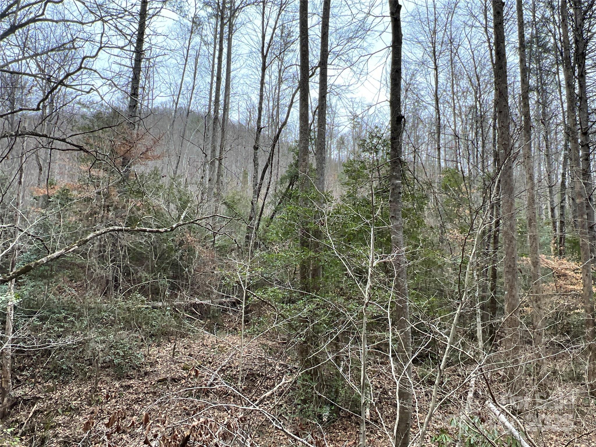 00 Collettsville Road 9