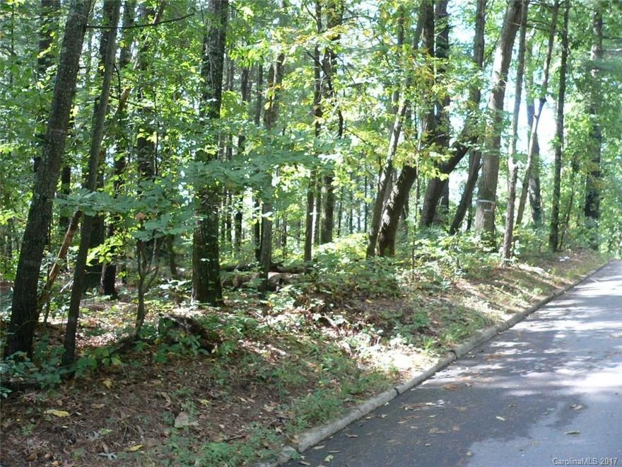 Buildable Lot located with City of Hendersonville with city water and sewer located directly across the street.  Tap and meter fee is required.  Level land, easy build, paved road.  Consult City of Hendersonville planning for minimum square foot build requirements.  Seller has no restrictions.