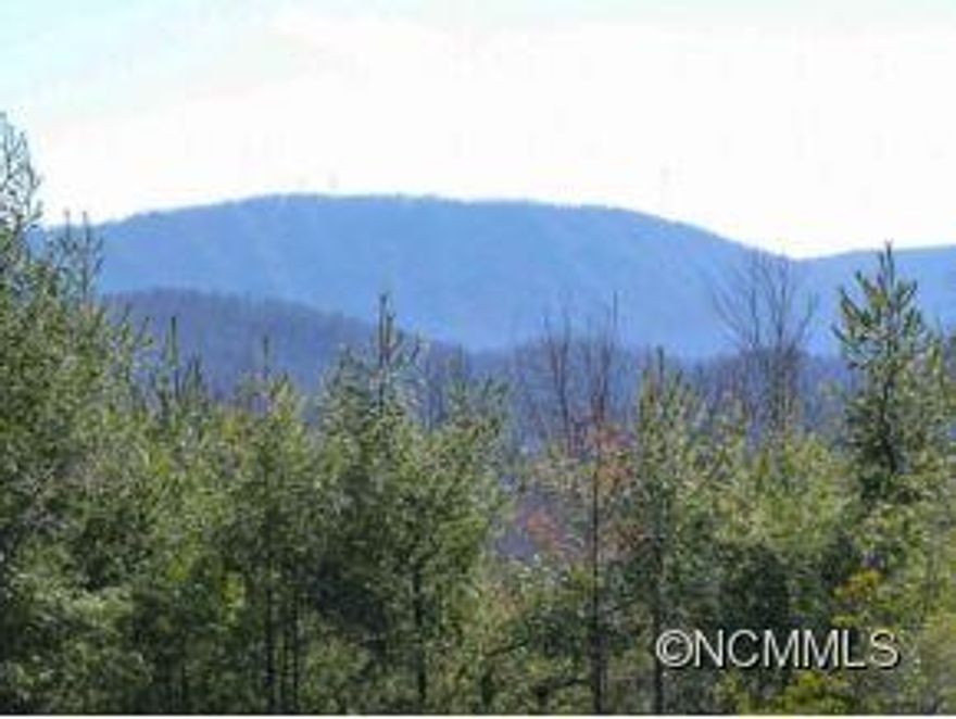 Build your dream home in the lovely community of Champion Hills. Enter the property on a potential statement making drive up to an area that has been partially cleared to easily envision what the views would be from this fabulous location. Privacy, yet all the amenities of golf, (voted top 10 in NC), tennis, hiking, wellness center & clubhouse can be yours. It's only 8 min. to Hendersonville for restaurants & entertainment.