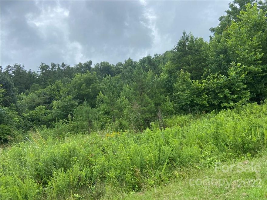 Land!!!!! 20-/+ in a Prime location for $17,500 a Acre. Well and Septic will be needed.  All wooded in its current condition.  The address will come of Radcliff and whom ever buys it could possibly put 3-5 homes.

Survey is attached. Pines on the land that a harbors would love to cut an the buyer could make money.
Land Perced. there is access on Radcliff.