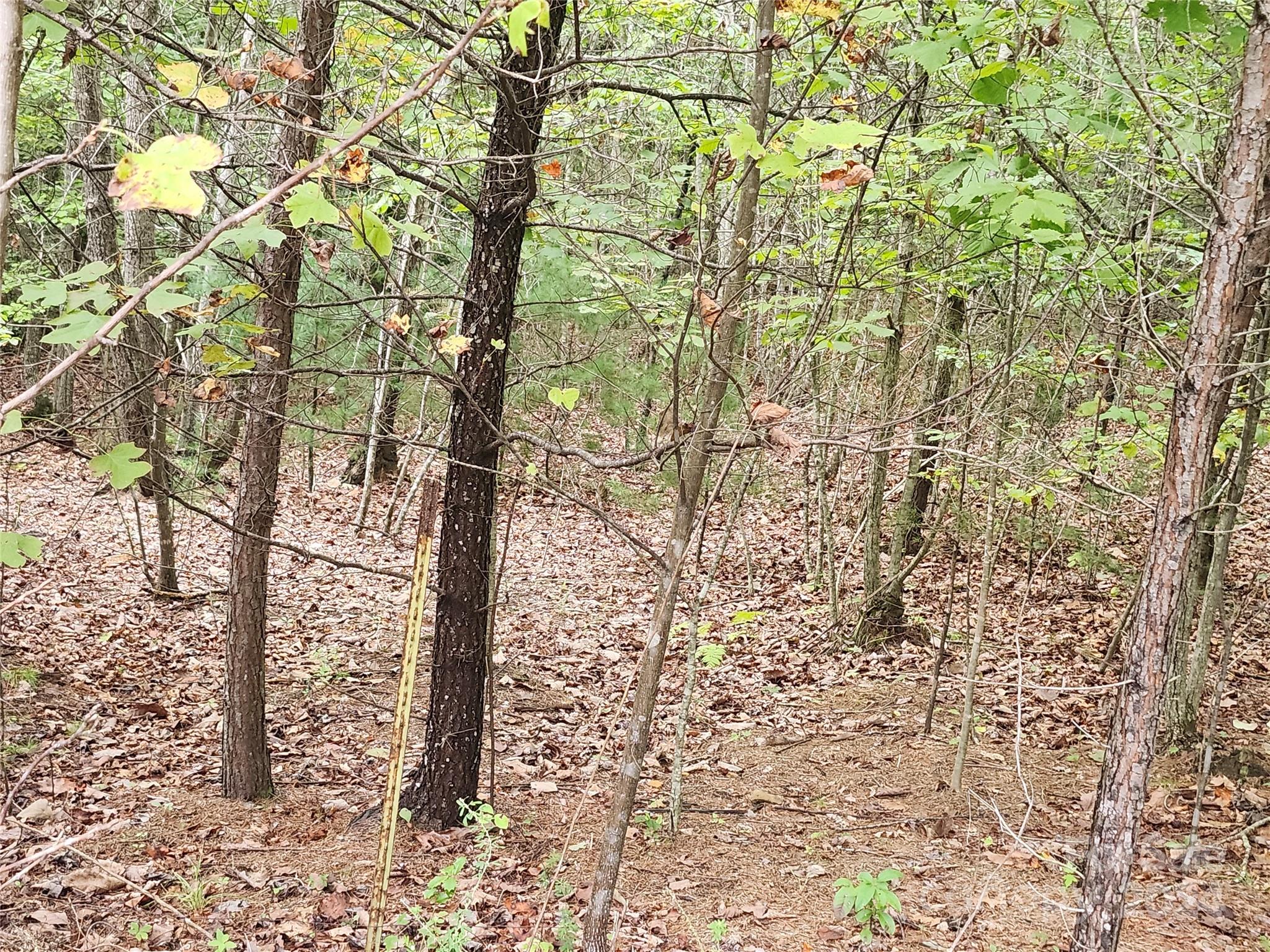 Lot 104 Boysenberry Drive