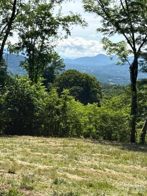 Photo of #38 Sleepy Hollow Drive, Waynesville, NC 28785 (MLS # 4395109)