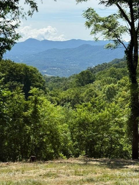#38 Sleepy Hollow Drive