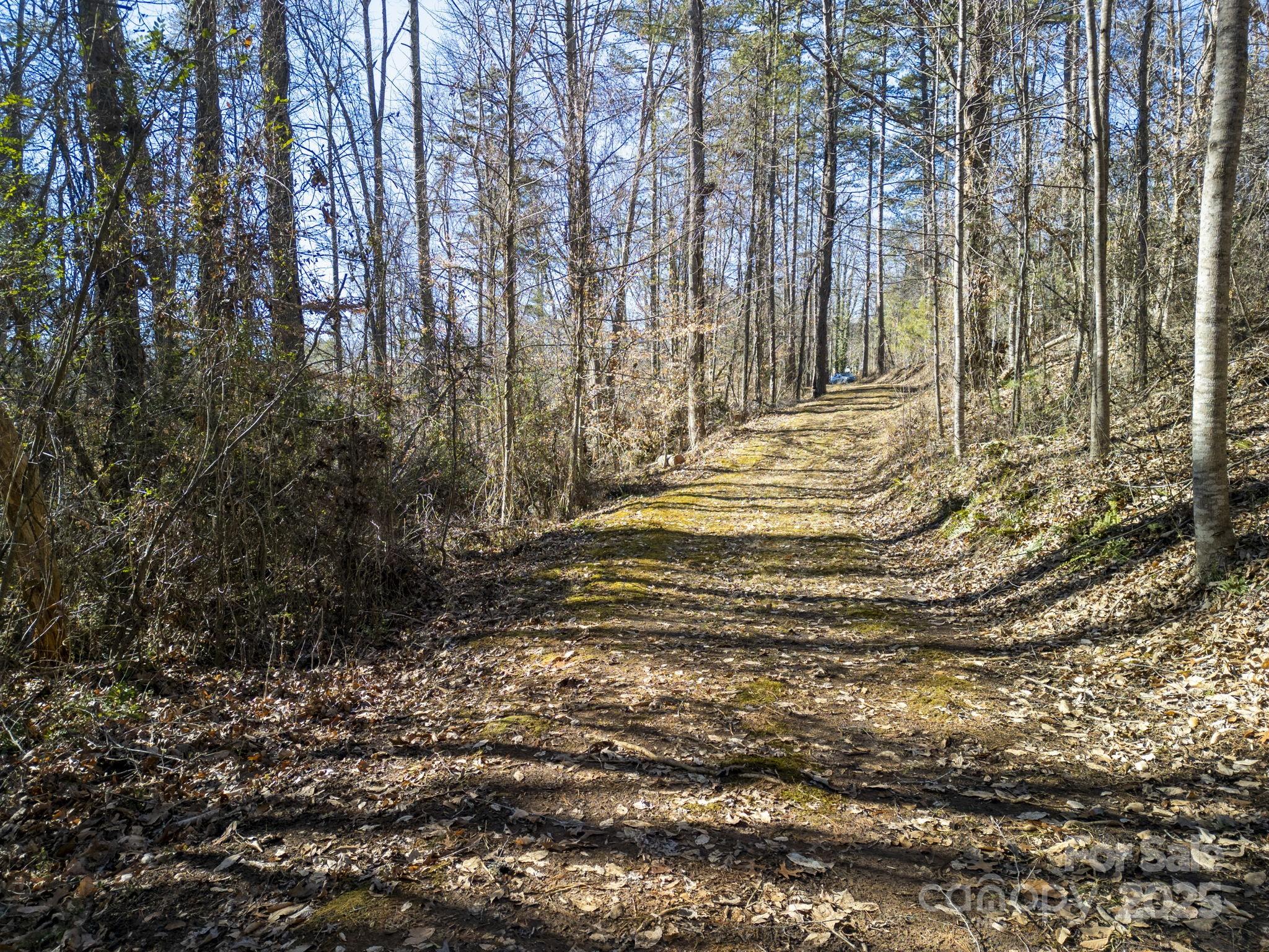 99999 Monticello Road