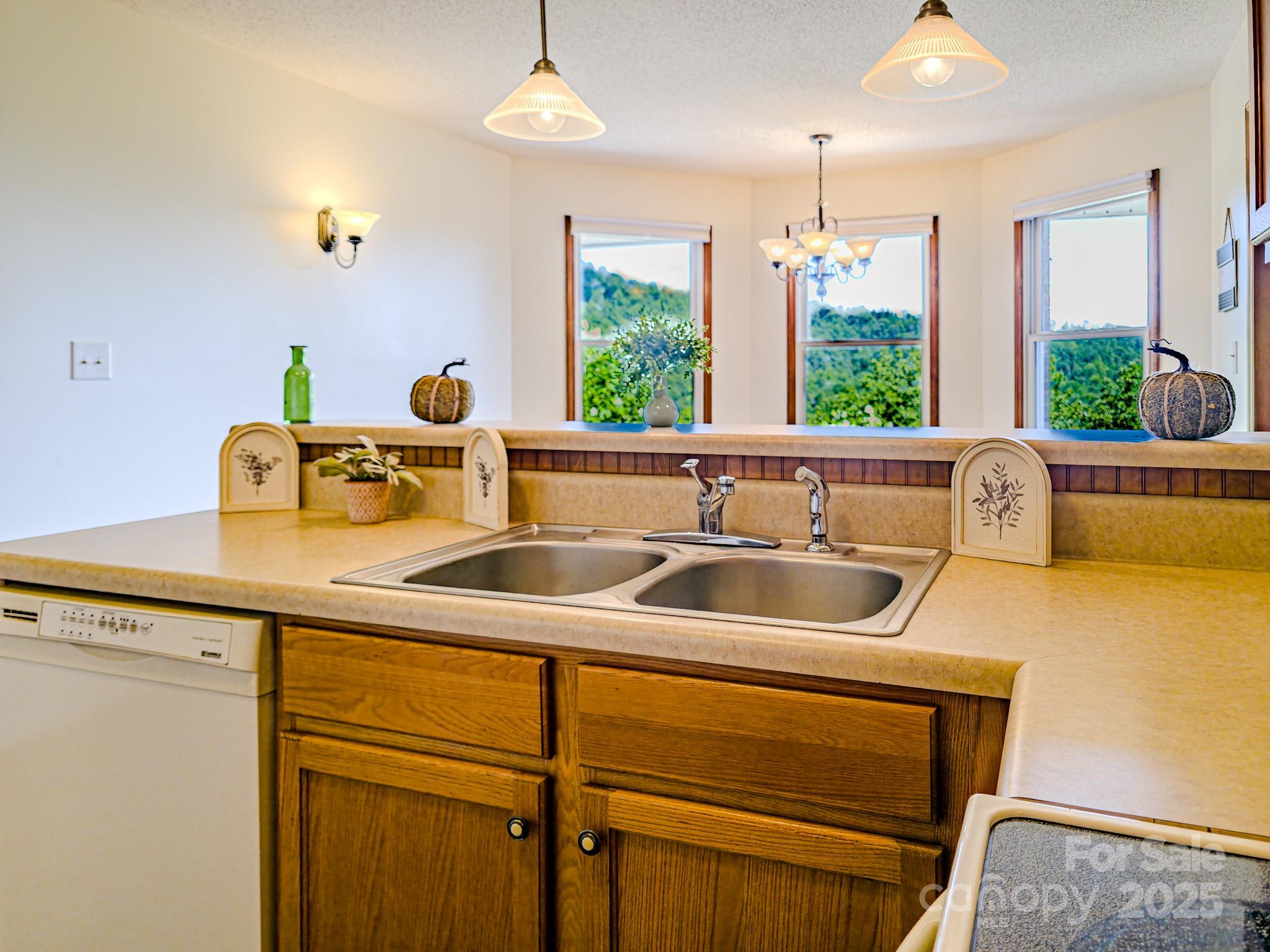485 Mountain Lookout Drive