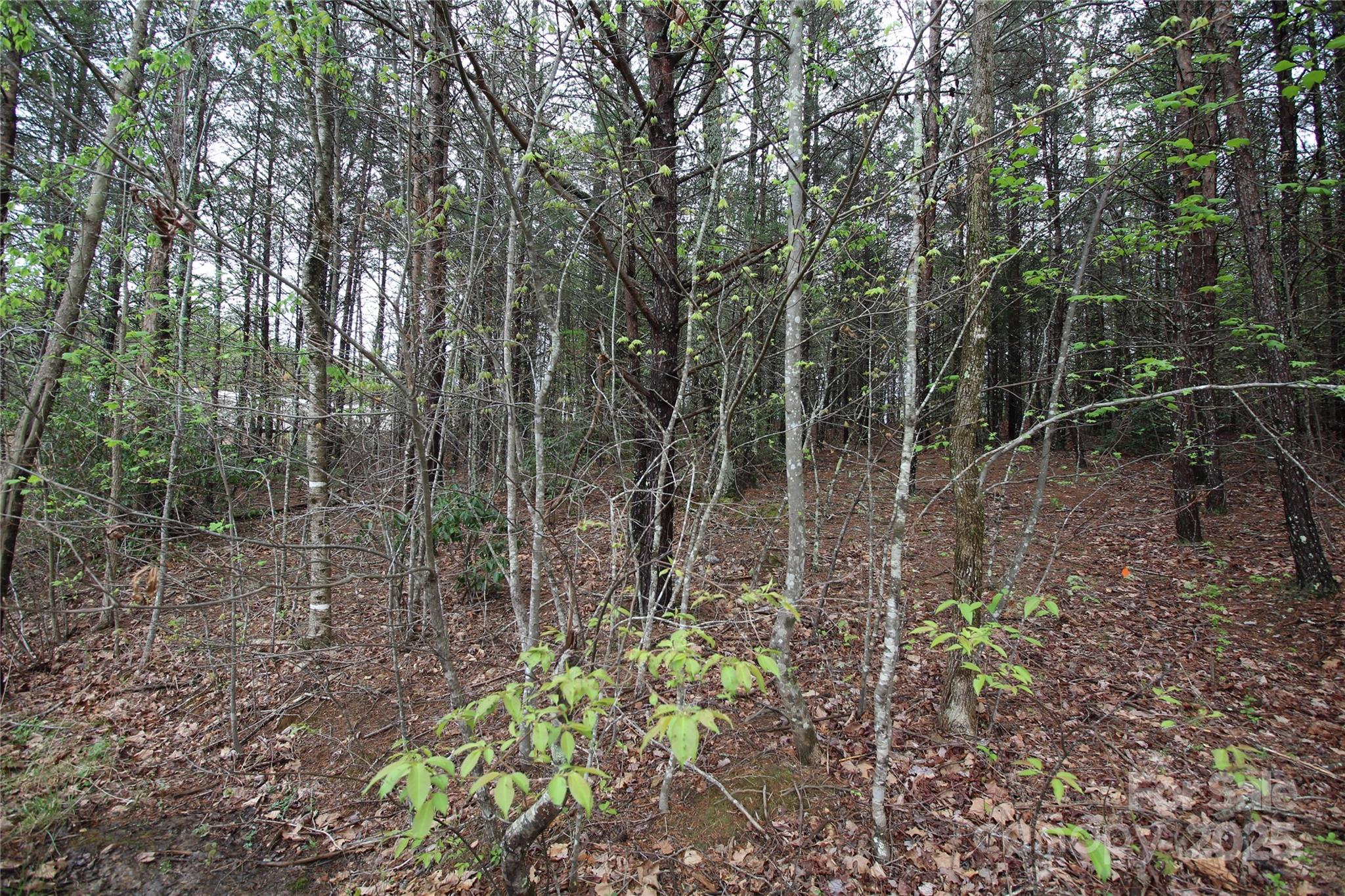 Lot 4 Ridge Way Lot 4
