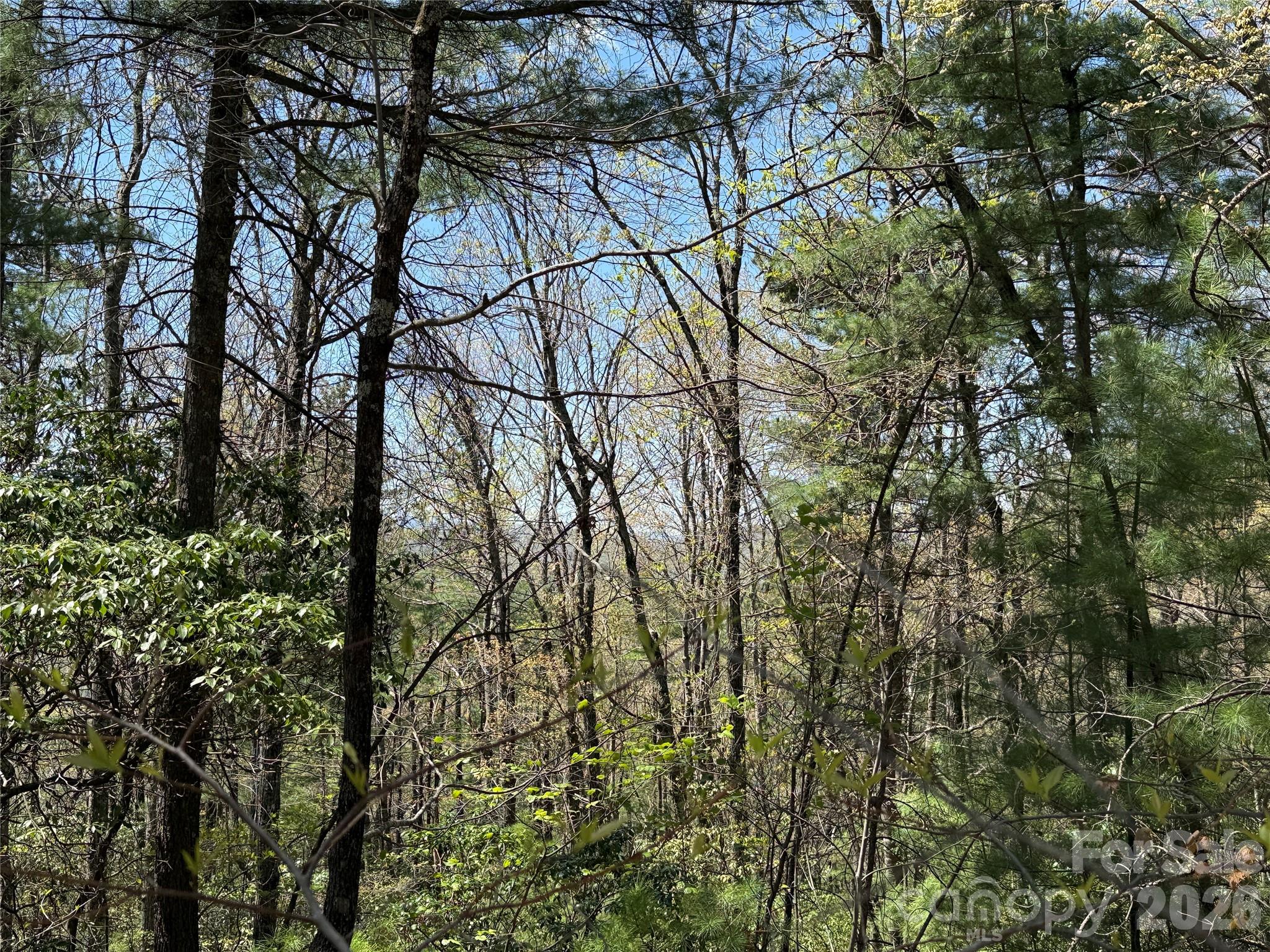 Buck Mountain - Land