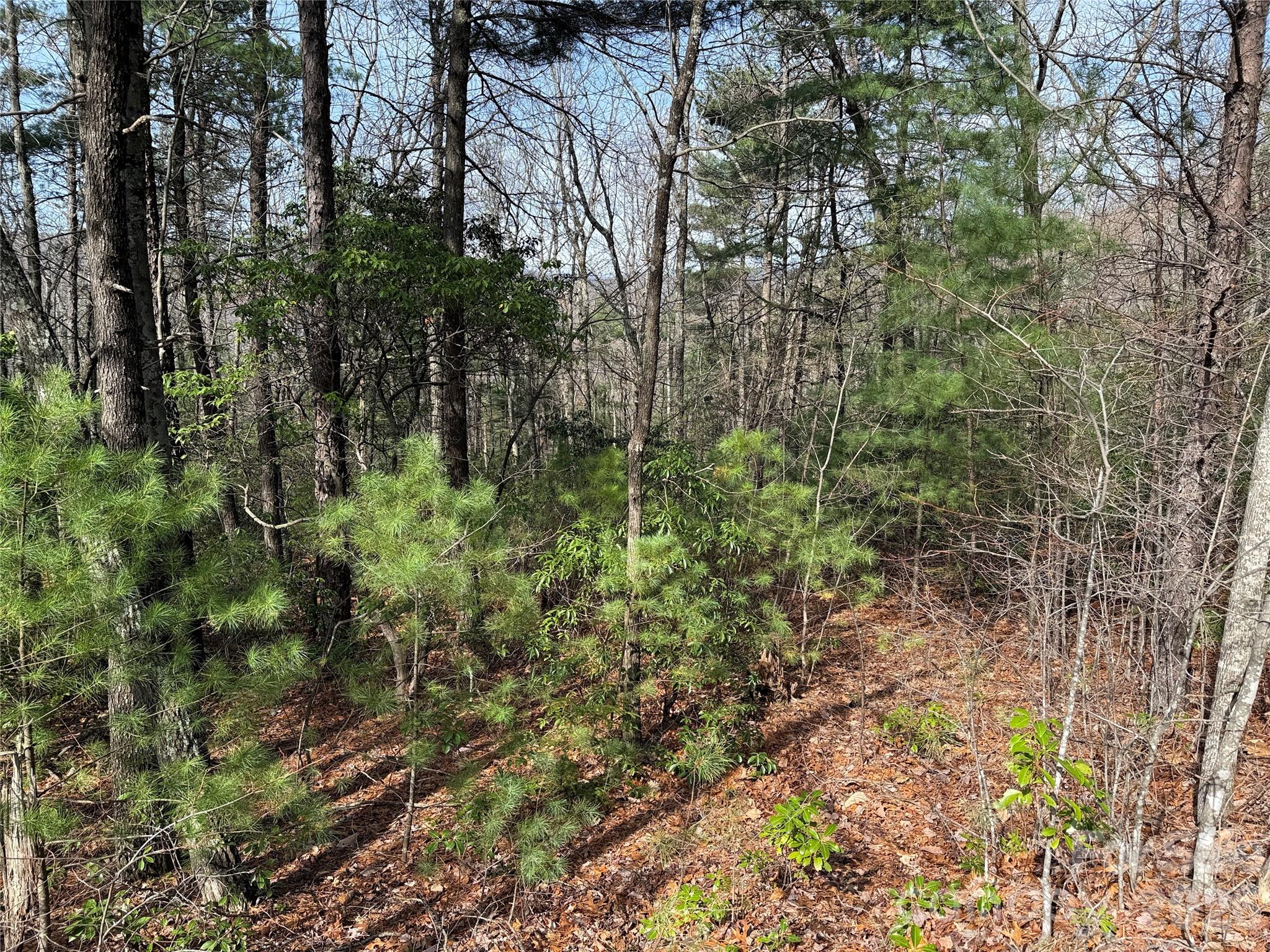 Buck Mountain - Land