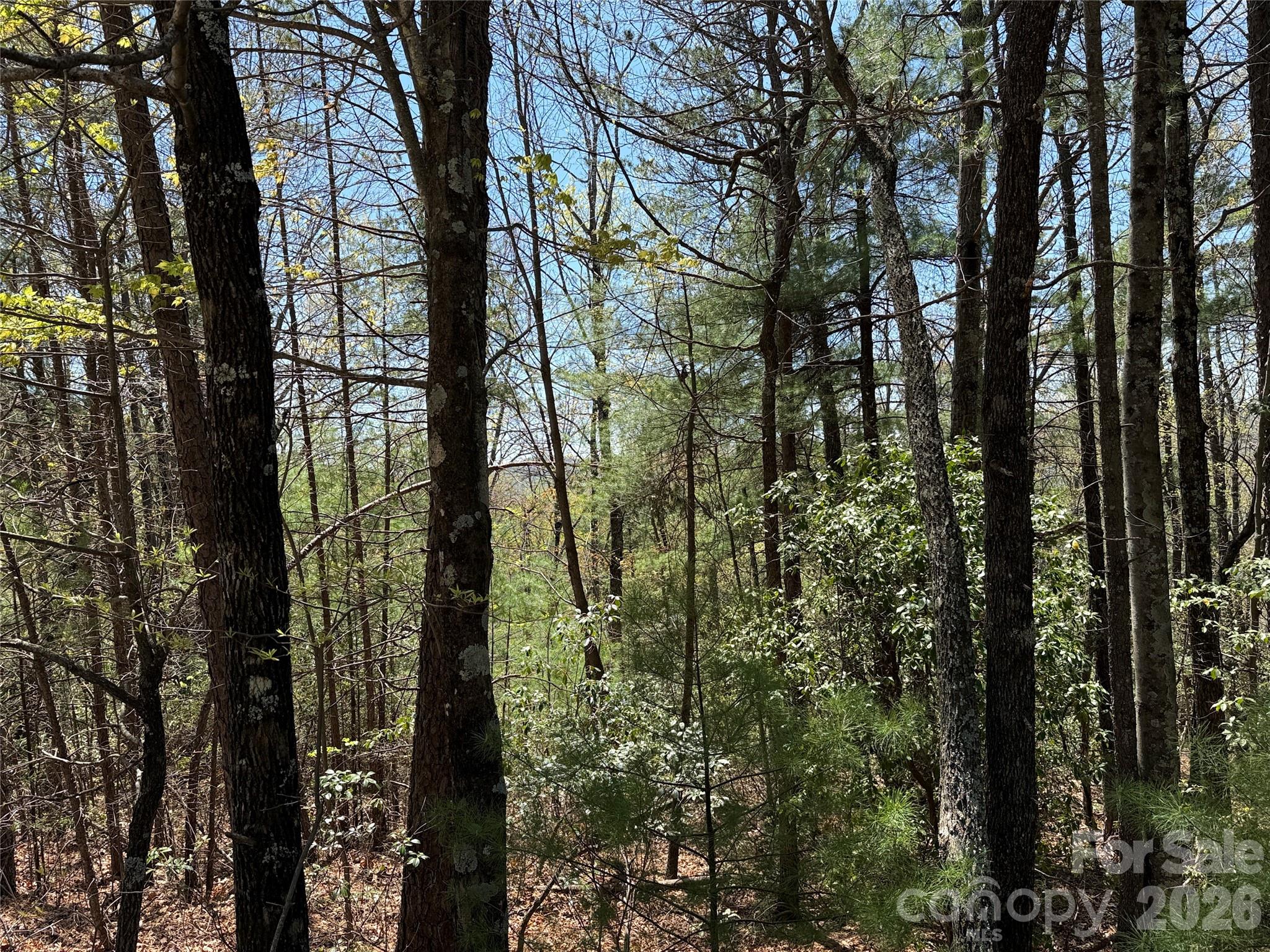 Buck Mountain - Land