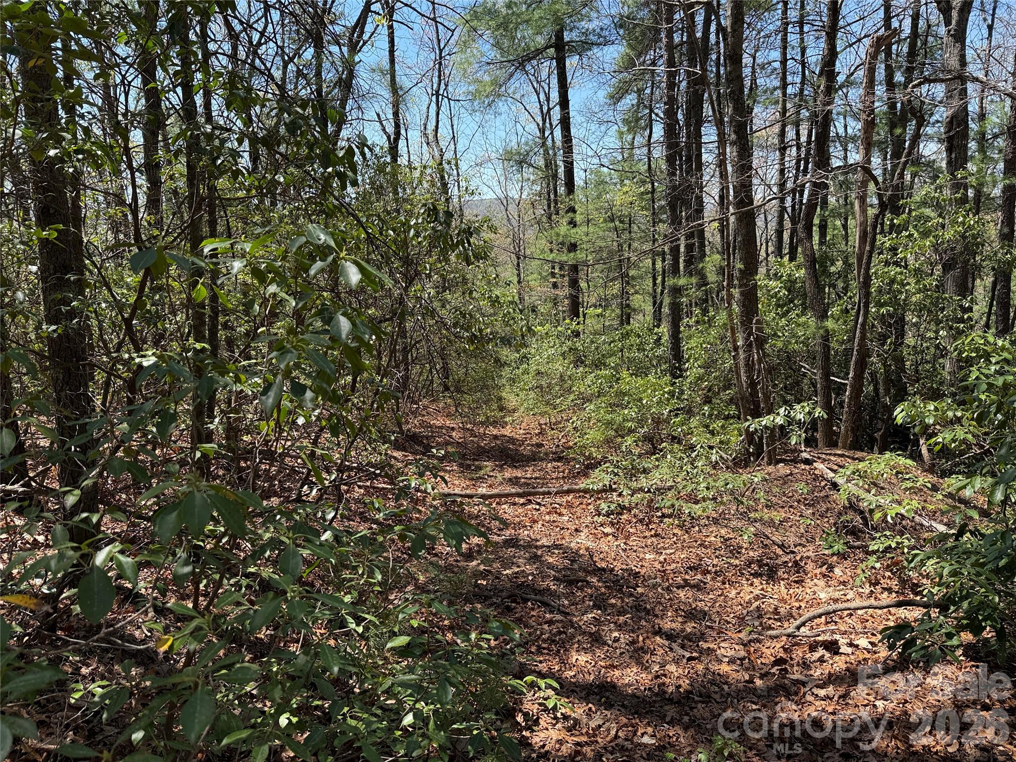 Buck Mountain - Land