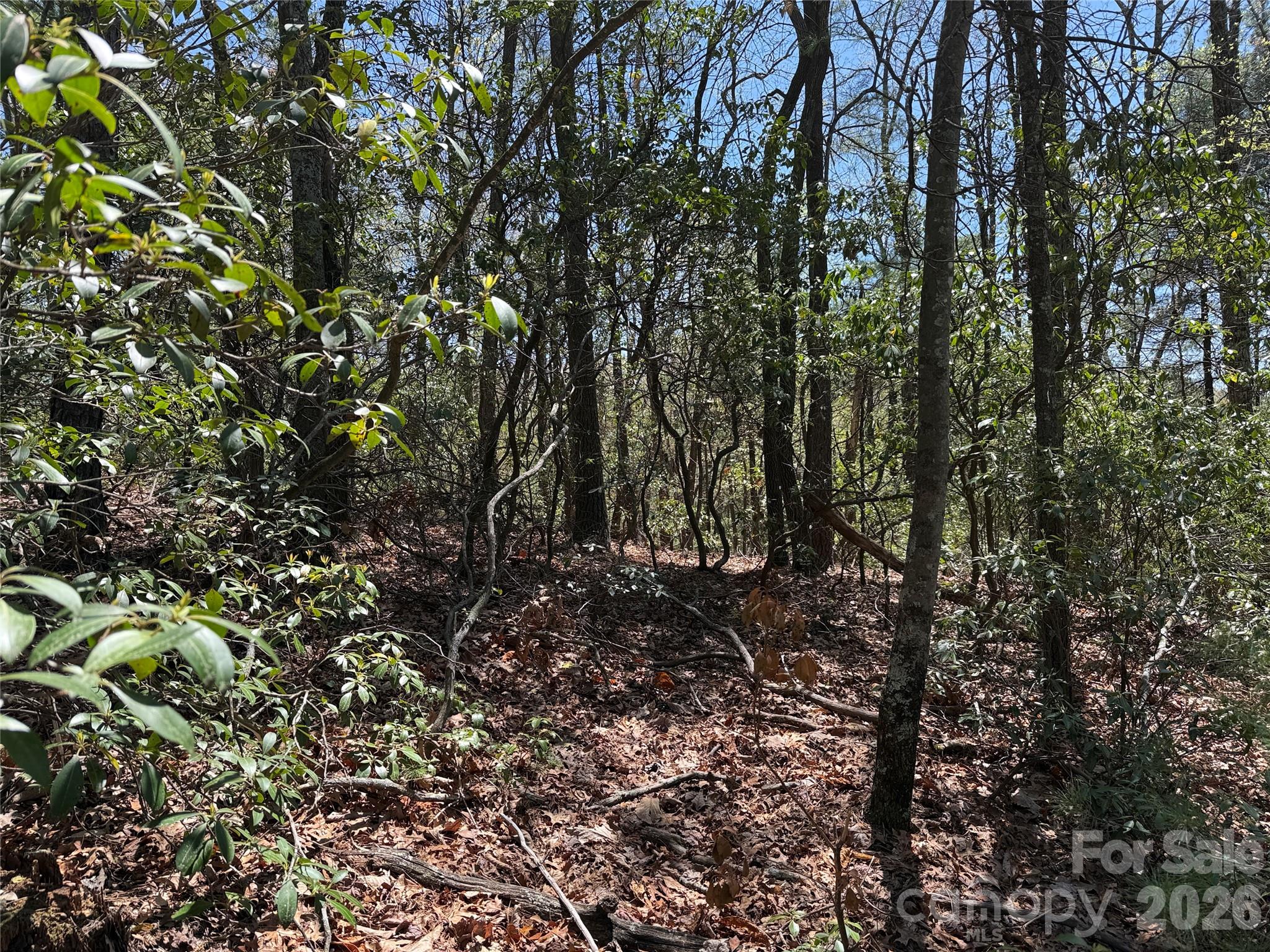 Buck Mountain - Land