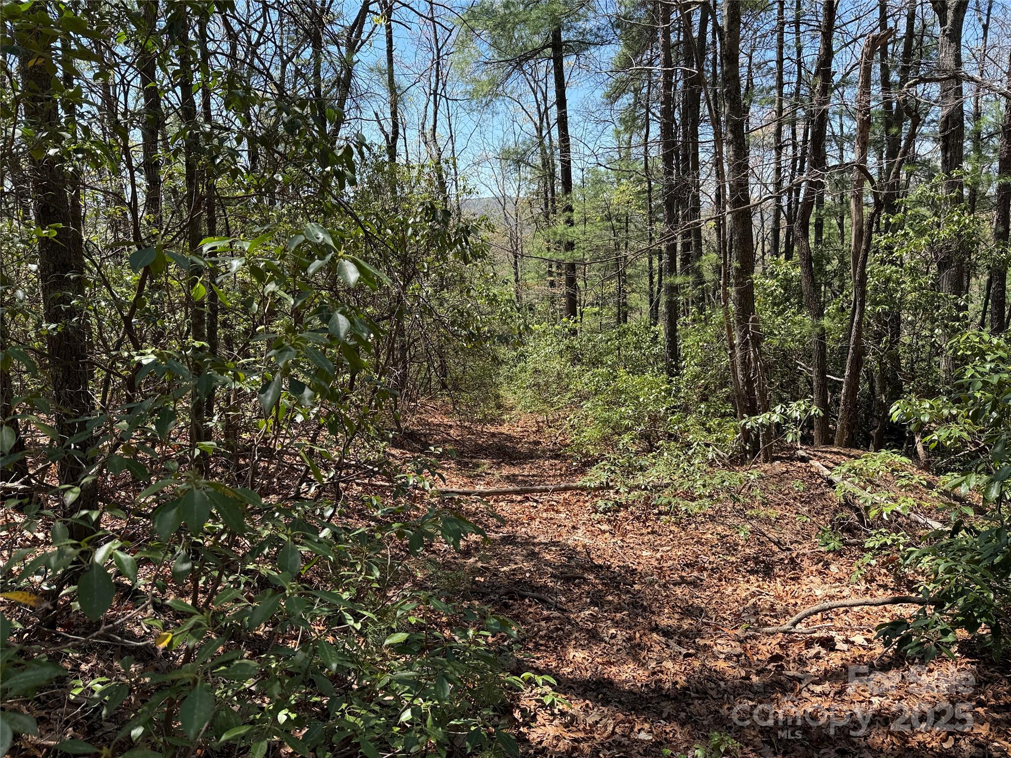 TBD Casey Mountain Road 213