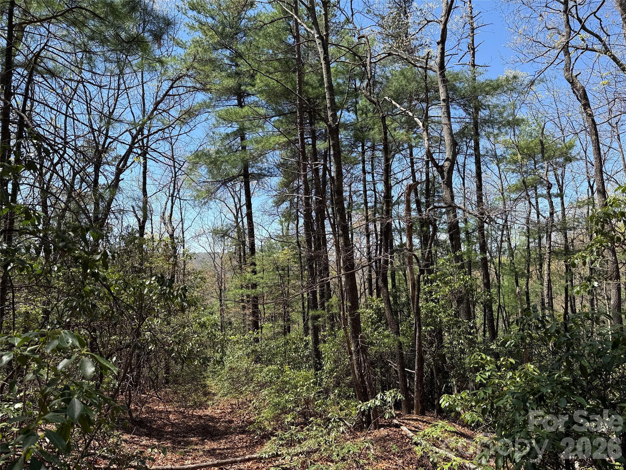 Buck Mountain - Land