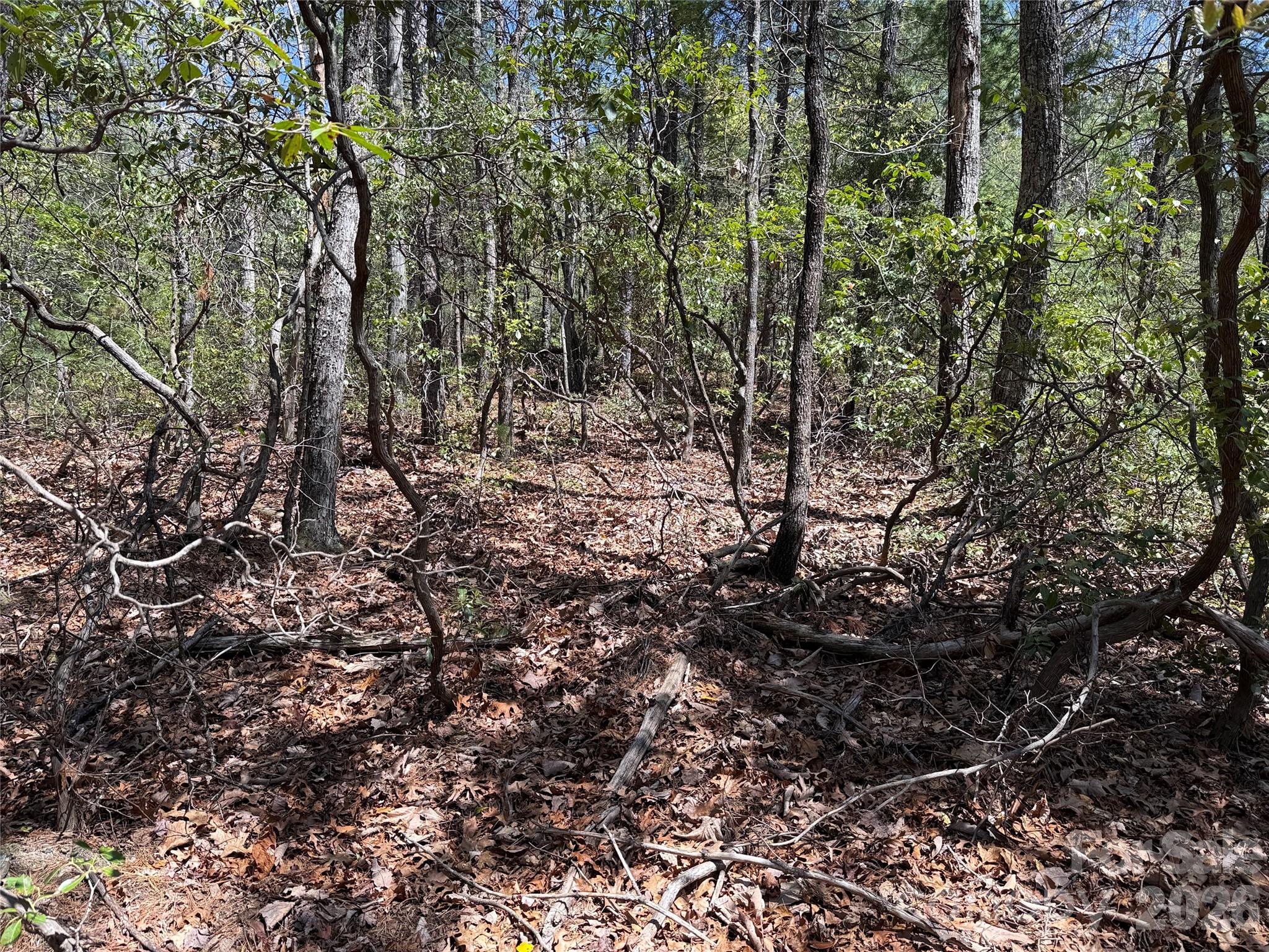 Buck Mountain - Land