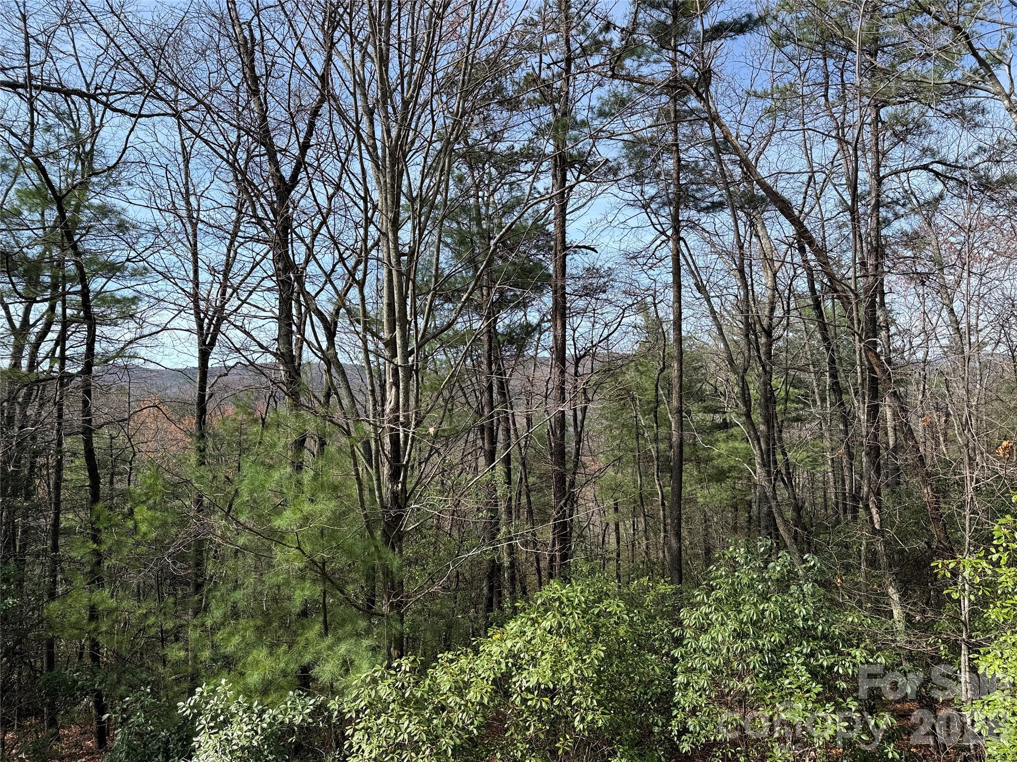 TBD Casey Mountain Road 213