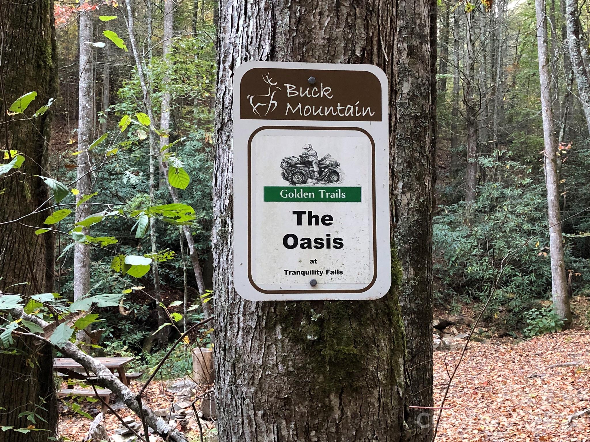 Buck Mountain - Land