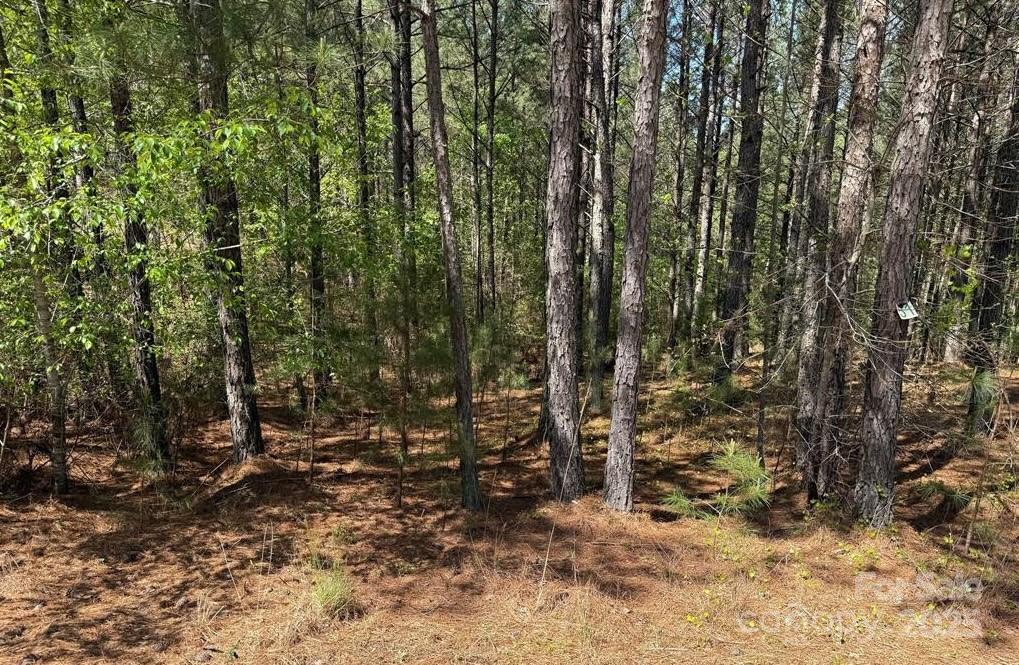 108 Whispering Pines Lane
