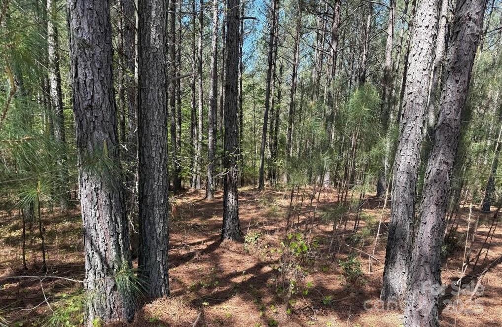 108 Whispering Pines Lane