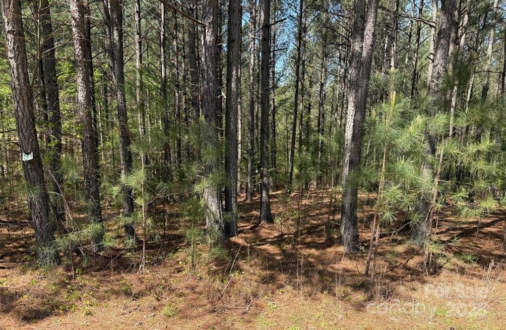 108 Whispering Pines Lane