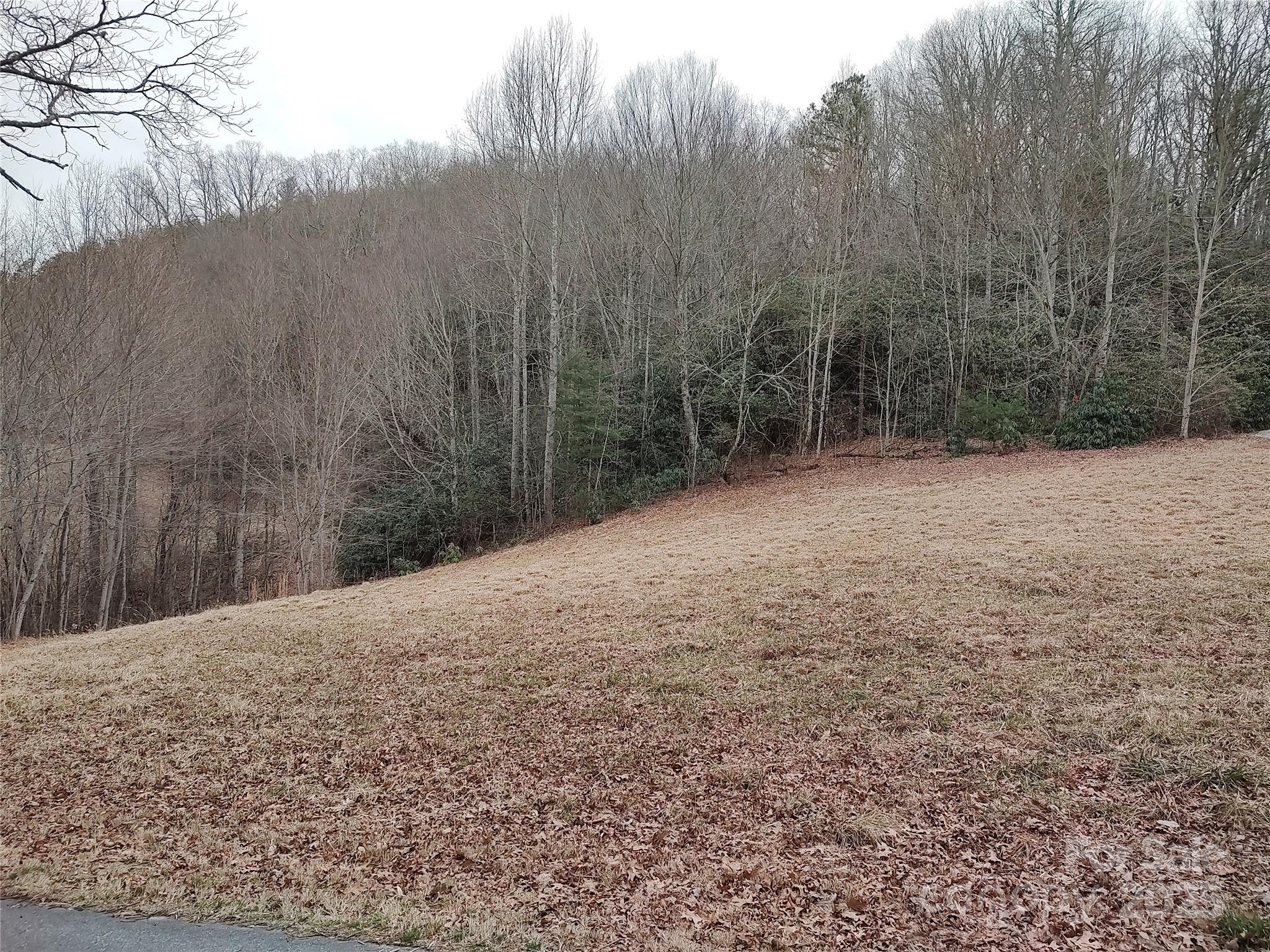 0 Vineyard Hill Drive