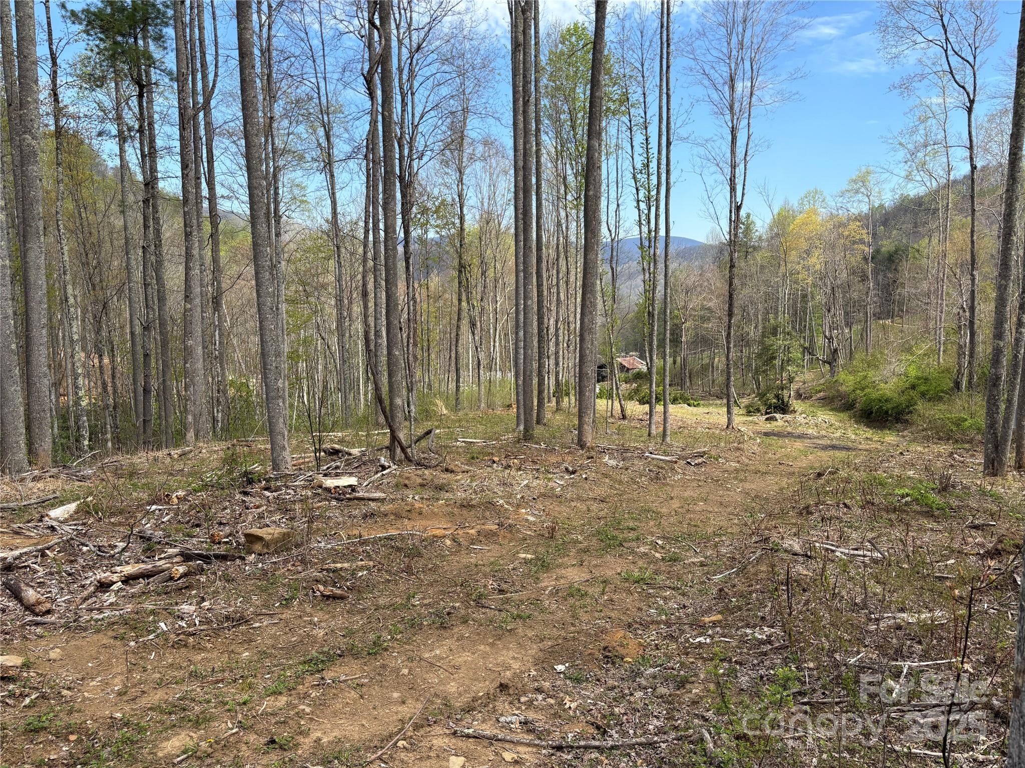 (East Lot) TBD Silas Branch Road