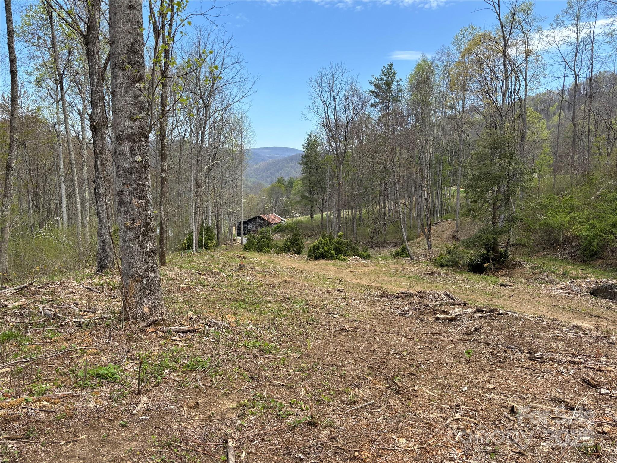 (East Lot) TBD Silas Branch Road