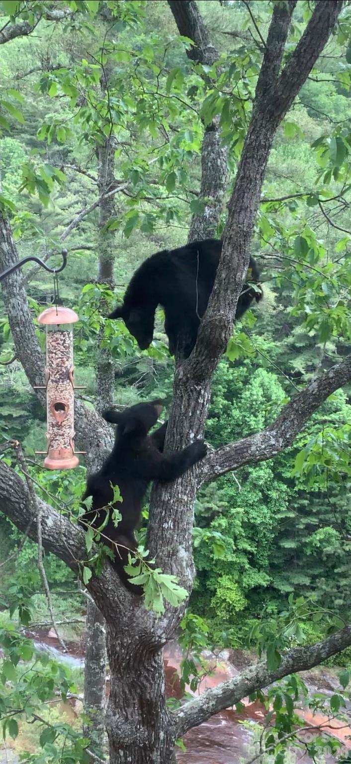 Toxaway Falls Condominium One - Residential