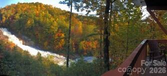 221 Toxaway Falls Drive 1