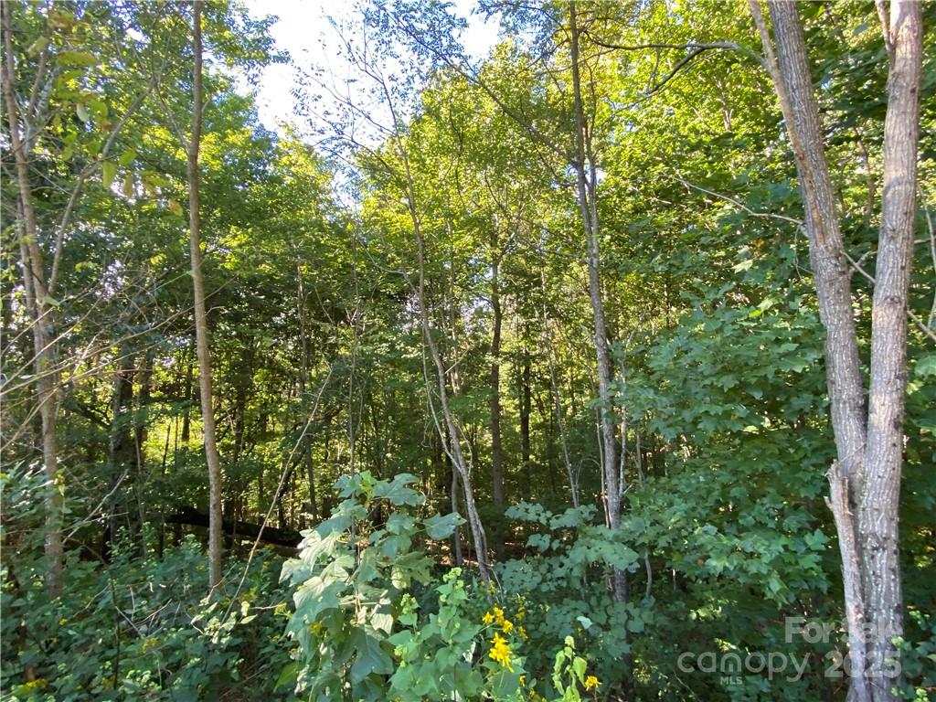 Blue Heron Point - Land