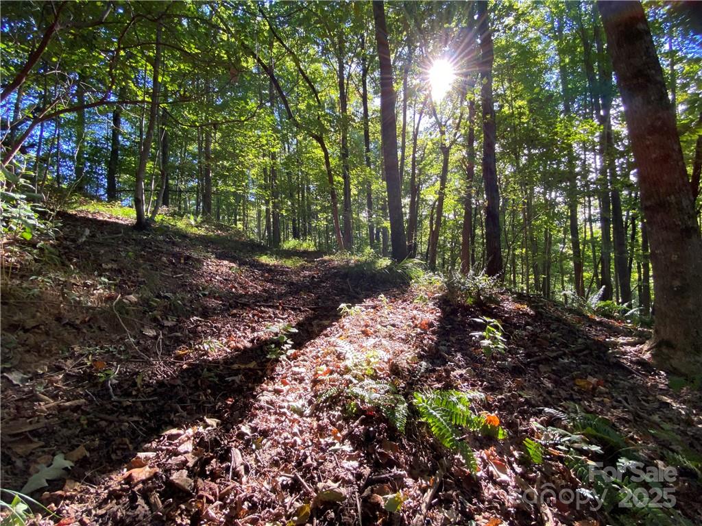 Blue Heron Point - Land