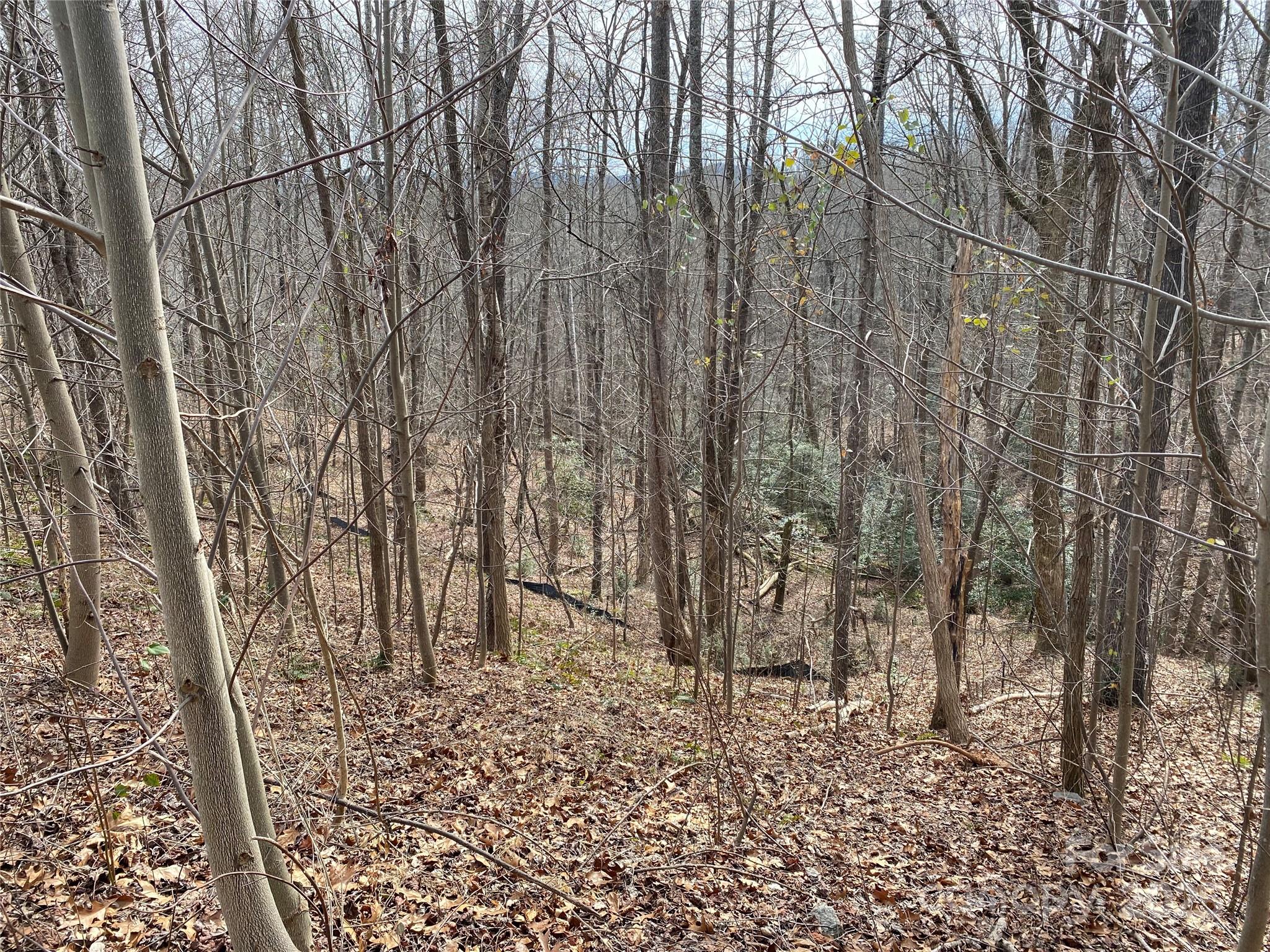 46 Holmstead Drive 46