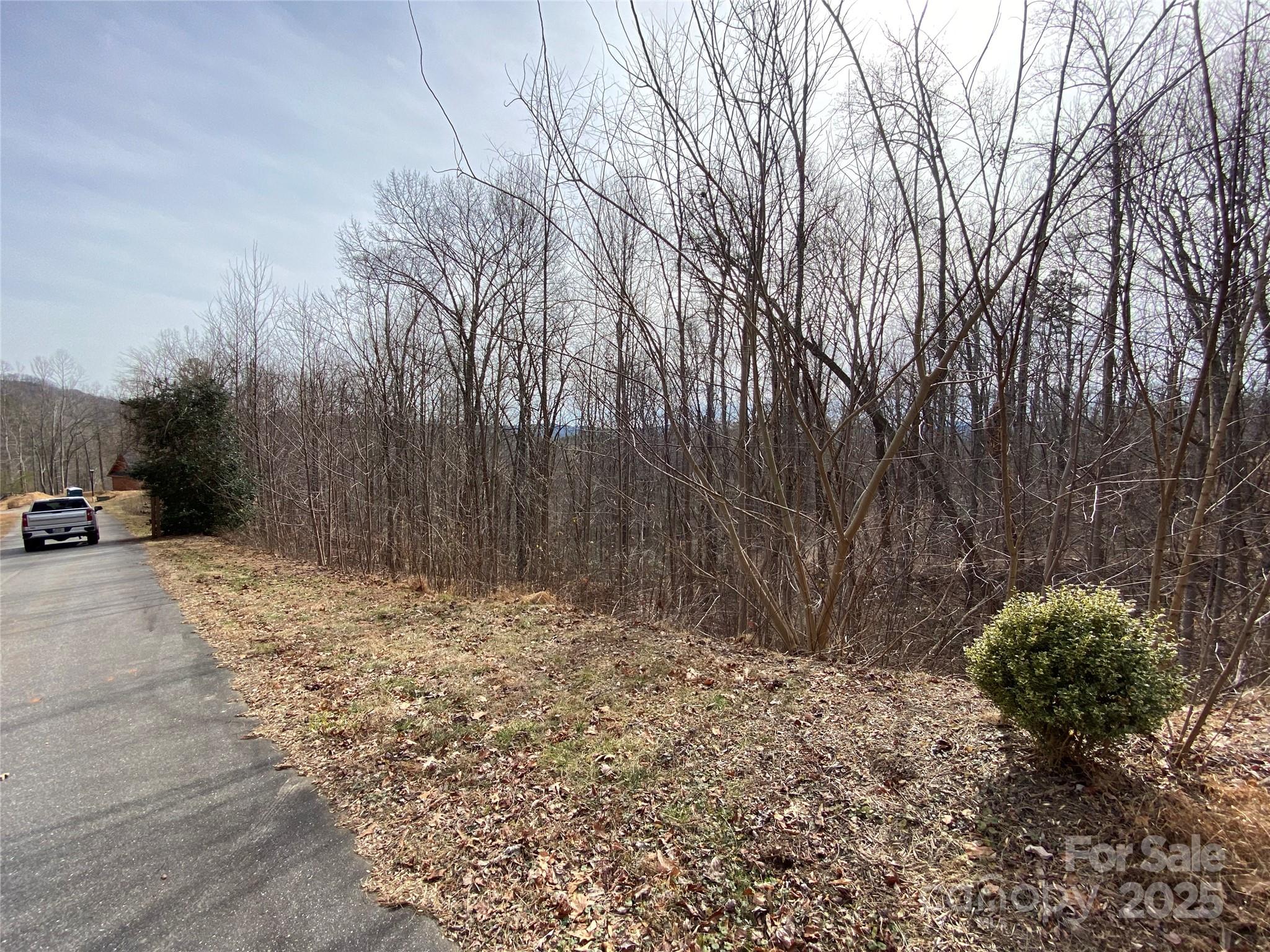 Blue Heron Point - Land