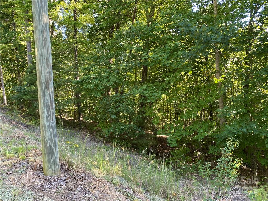 Blue Heron Point - Land