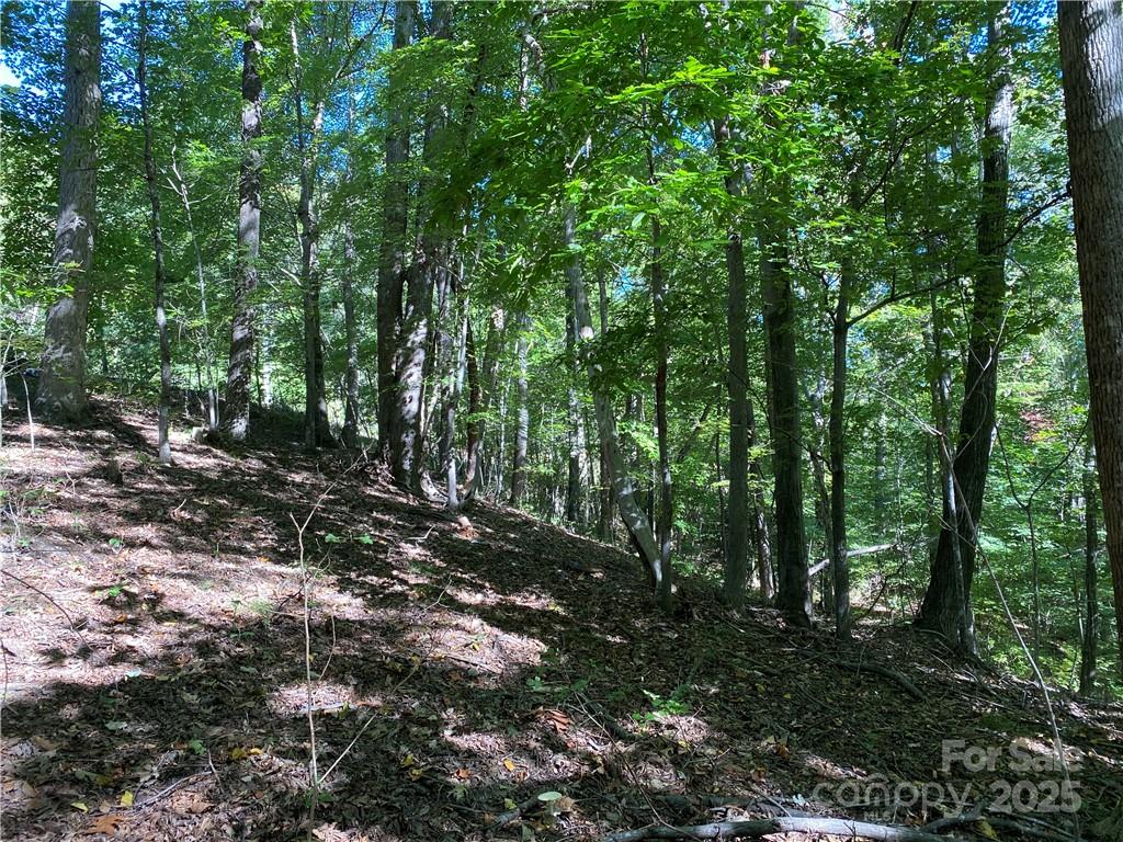 Blue Heron Point - Land